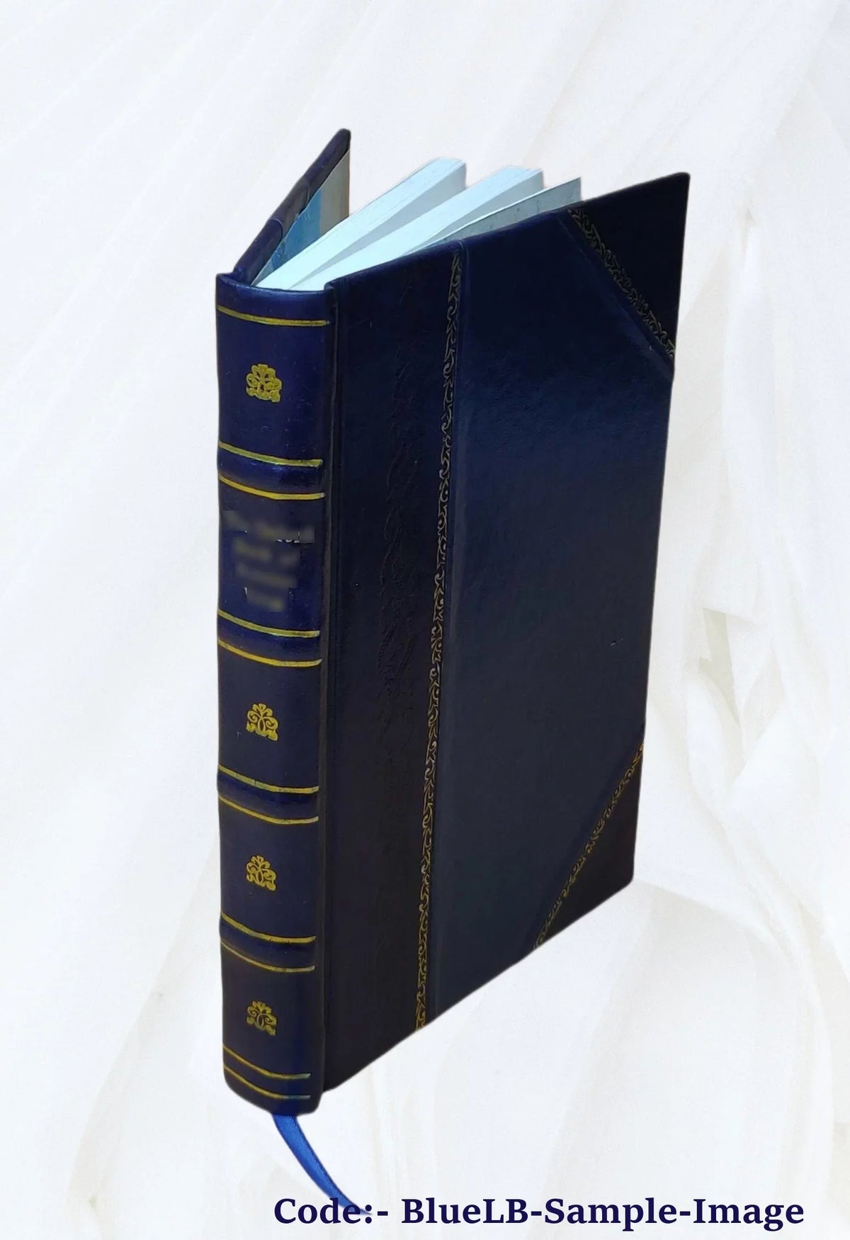 Folsom 2002 [Leather Bound]. Neptune's table : a view of America's ocean fisheries / Anneka Wright ; director of photography, William B