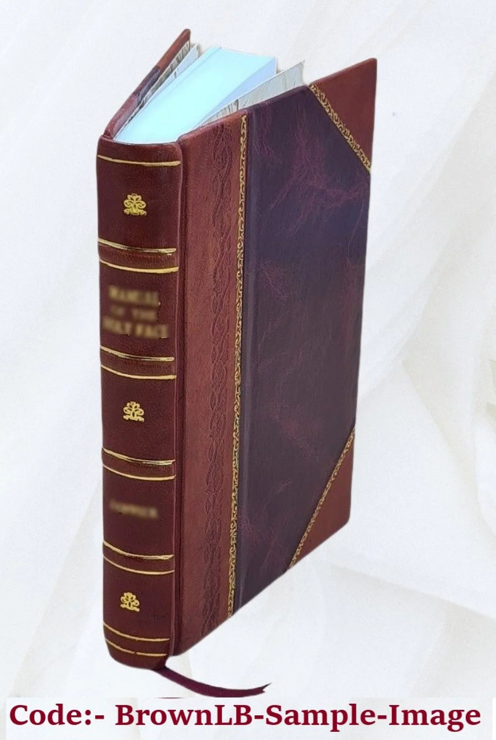 Volume v.2 1833 [Leather. v.2. Campe. Le nouveau Robinson : pour servir à l'amusement et à l'instruction des enfans de l'un et de l'autre sexe / ouvrage traduit de l'allemand de M