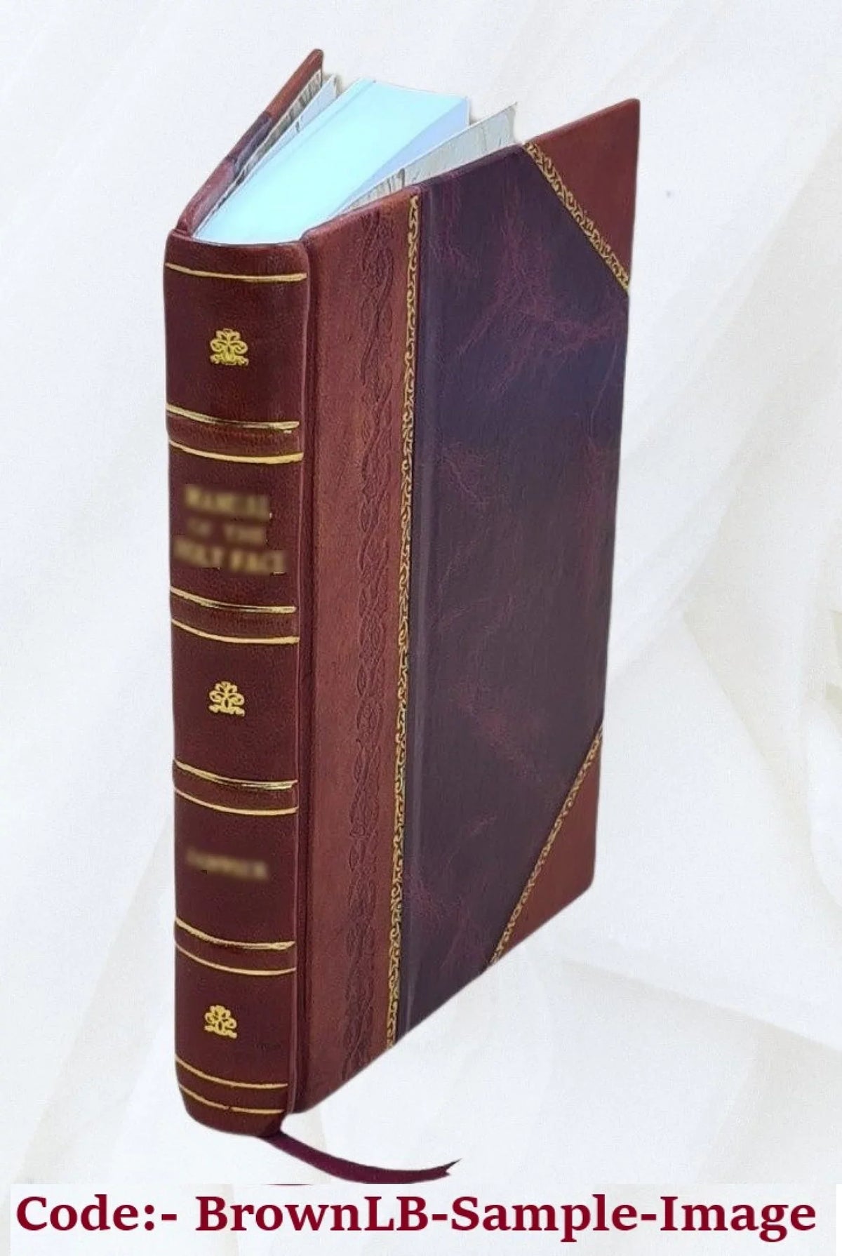 Volume v.2 1833 [Leather. v.2. Campe. Le nouveau Robinson : pour servir à l'amusement et à l'instruction des enfans de l'un et de l'autre sexe / ouvrage traduit de l'allemand de M